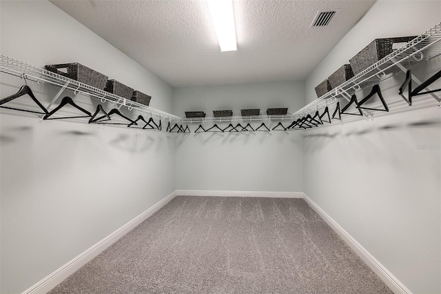 13722 Heartwood Way, Parrish, FL 34219 - spacious closet featuring carpet flooring