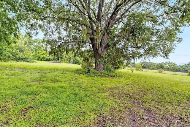 9635 Joe Ebert Rd, Seffner, FL 33584 - photo 4