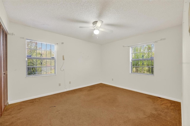 9635 Joe Ebert Rd, Seffner, FL 33584 - photo 25
