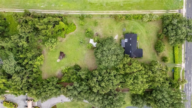 9635 Joe Ebert Rd, Seffner, FL 33584 - photo 49