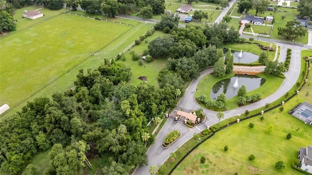 9635 Joe Ebert Rd, Seffner, FL 33584 - photo 53
