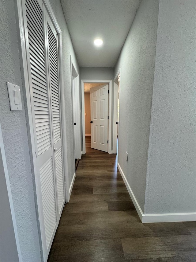 1675 13th Ave S, Saint Petersburg, FL 33712 - hall featuring a textured wall, dark wood-style floors, and baseboards