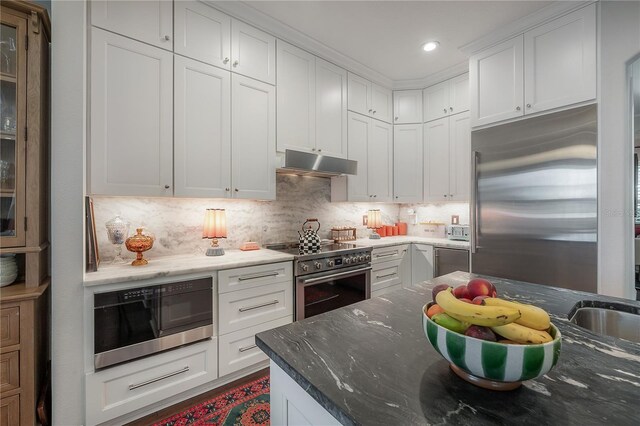 8927 Key W Island Way, Riverview, FL 33578 - kitchen with built in appliances, under cabinet range hood, white cabinetry, dark stone counters, and recessed lighting