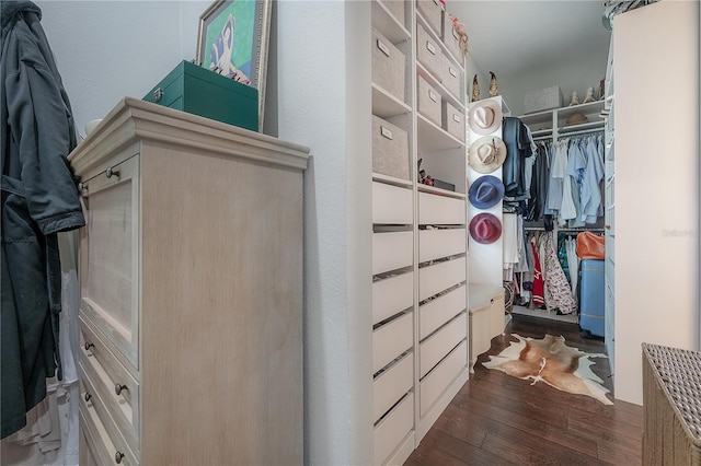8927 Key W Island Way, Riverview, FL 33578 - spacious closet featuring dark wood finished floors