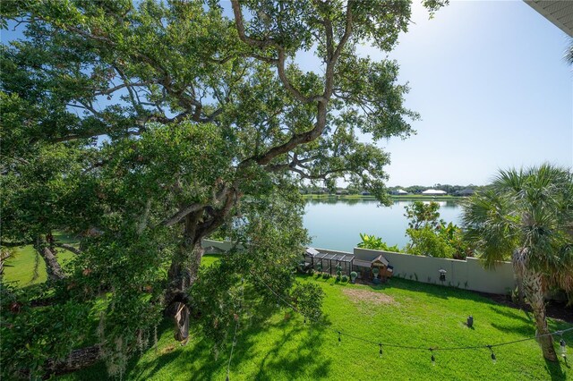 8927 Key W Island Way, Riverview, FL 33578 - view of yard with a water view