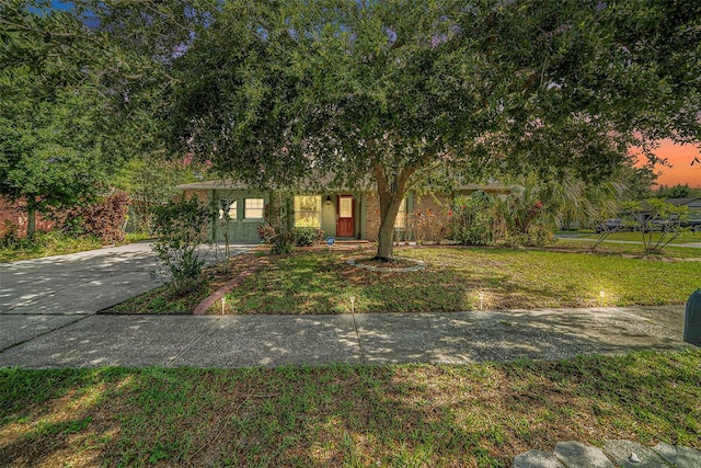 1813 Nova Dr, Valrico, FL 33596 - photo 1