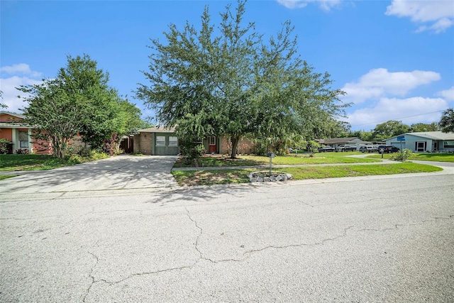 1813 Nova Dr, Valrico, FL 33596 - photo 3