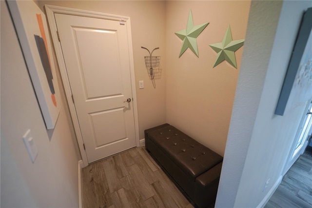 13103 Monach Isles Dr, Riverview, FL 33579 - entryway featuring wood finished floors