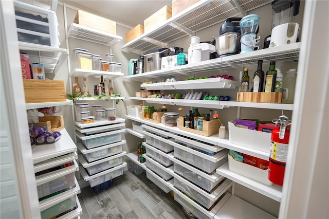 13103 Monach Isles Dr, Riverview, FL 33579 - view of storage area