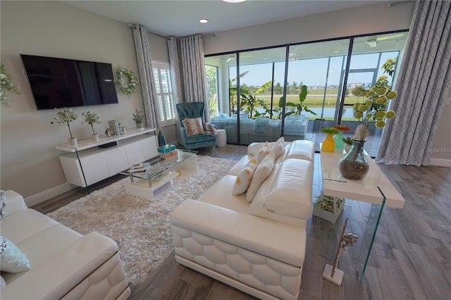 13103 Monach Isles Dr, Riverview, FL 33579 - living area featuring plenty of natural light, wood finished floors, baseboards, and recessed lighting