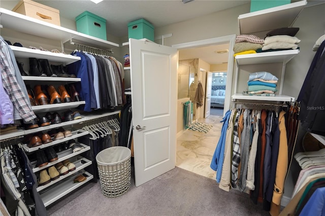 13103 Monach Isles Dr, Riverview, FL 33579 - view of spacious closet