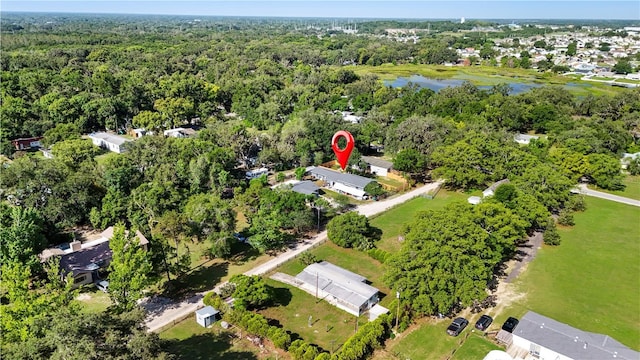 drone / aerial view of a large body of water and a forest