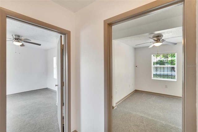 1920 E Chelsea St, Tampa, FL 33610 - carpeted empty room with a ceiling fan, baseboards, and a textured ceiling