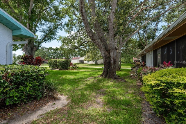 1065 Tartan Dr Unit C, Palm Harbor, FL 34684 - view of grassy yard