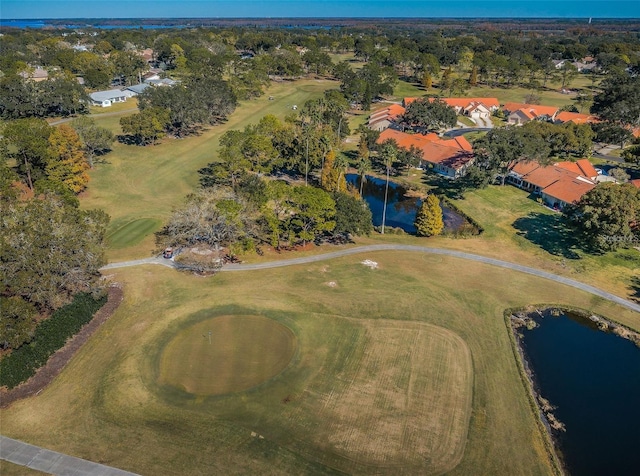 1065 Tartan Dr Unit C, Palm Harbor, FL 34684 - photo 44