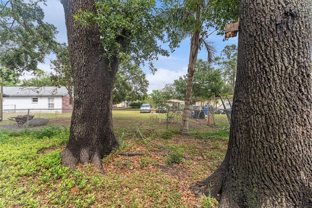 2313 Palm Ave, Seffner, FL 33584 - view of yard