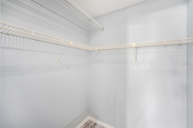 2770 Keats Ter Unit C, Palm Harbor, FL 34684 - view of spacious closet