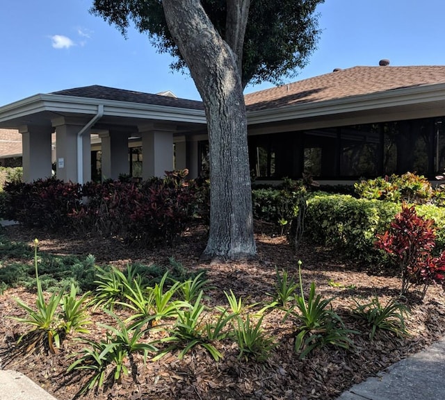 2770 Keats Ter Unit C, Palm Harbor, FL 34684 - view of home's exterior with stucco siding and roof with shingles