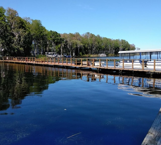 2770 Keats Ter Unit C, Palm Harbor, FL 34684 - dock featuring a water view and heating fuel