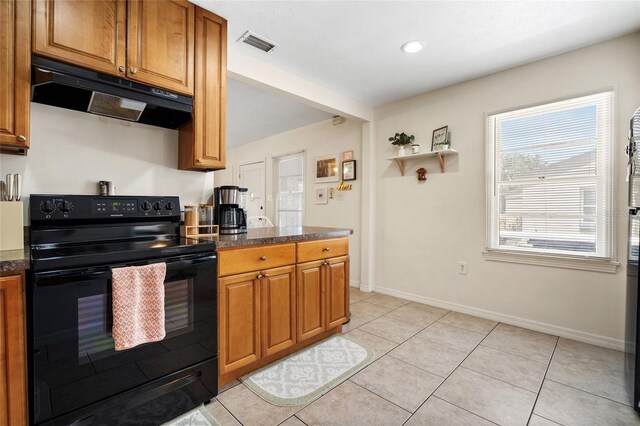 1013 N Bask Dr, Tampa, FL 33603 - photo 12
