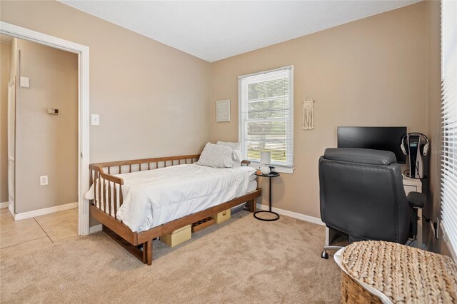 1013 N Bask Dr, Tampa, FL 33603 - photo 20