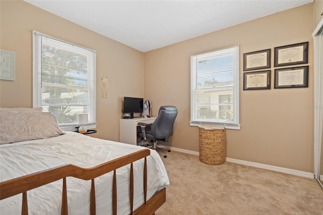 1013 N Bask Dr, Tampa, FL 33603 - photo 21