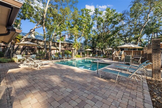 2665 Sequoia Ter Unit 306, Palm Harbor, FL 34683 - community pool with a patio