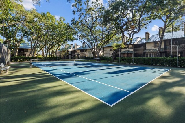 2665 Sequoia Ter Unit 306, Palm Harbor, FL 34683 - view of tennis court with fence, a residential view, and community basketball court