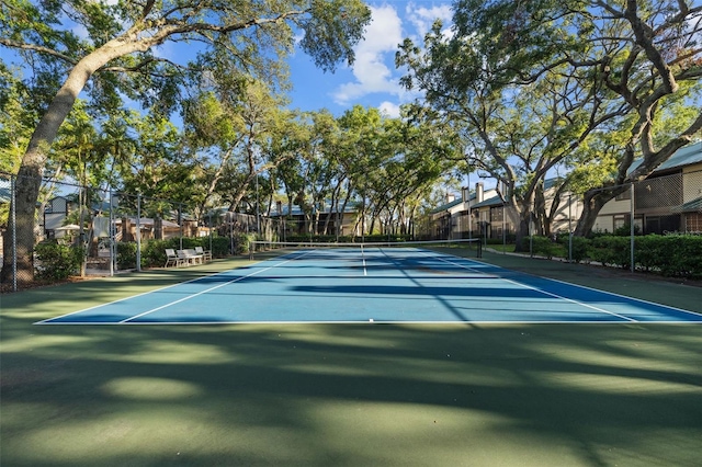 2665 Sequoia Ter Unit 306, Palm Harbor, FL 34683 - view of tennis court featuring fence and community basketball court
