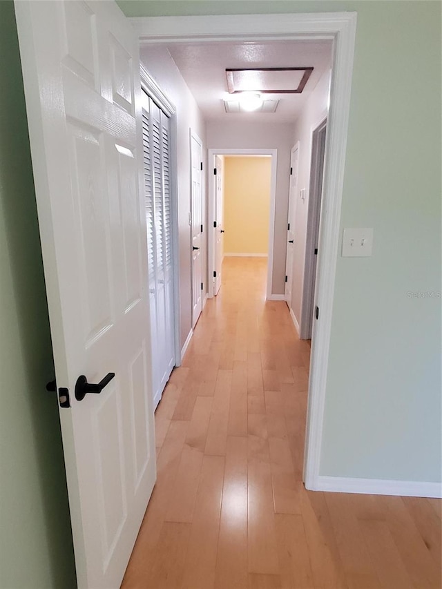 2615 Southern Oaks Pl, Plant City, FL 33566 - hall featuring light wood-type flooring and baseboards
