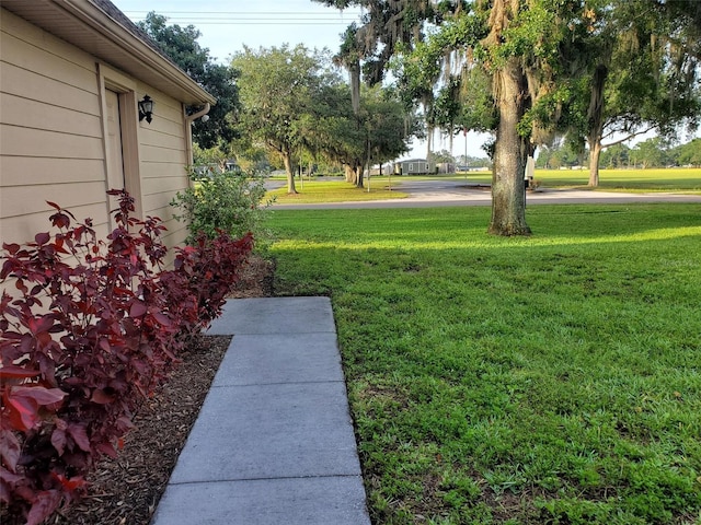 2615 Southern Oaks Pl, Plant City, FL 33566 - view of grassy yard