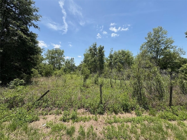 Blanton Rd, Dade City, FL 33523 - photo 1