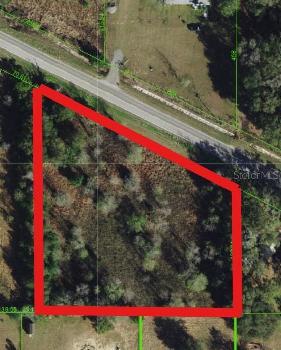 Blanton Rd, Dade City, FL 33523 - photo 2
