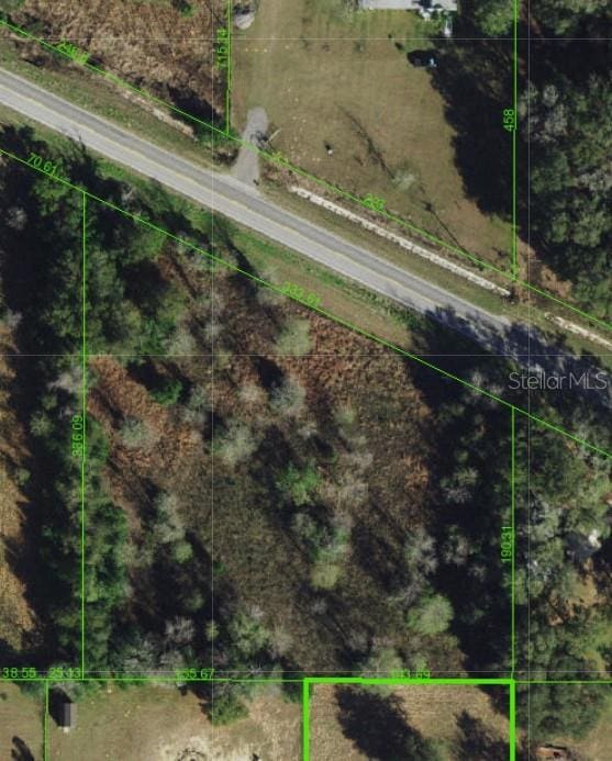 Blanton Rd, Dade City, FL 33523 - photo 3