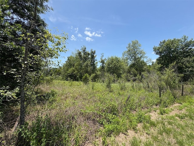 Blanton Rd, Dade City, FL 33523 - photo 5