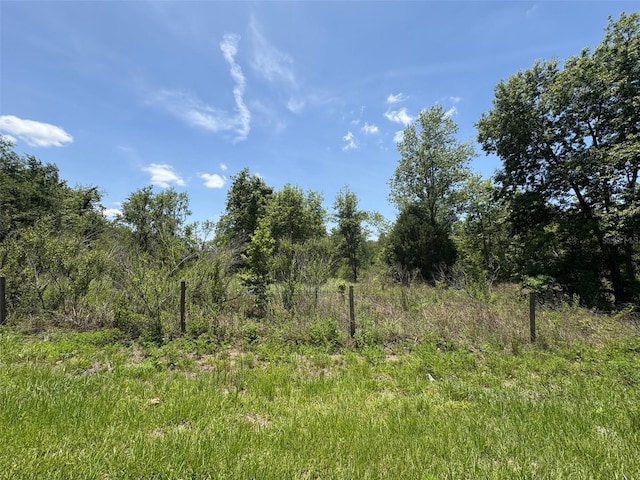 Blanton Rd, Dade City, FL 33523 - photo 6