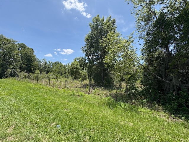 Blanton Rd, Dade City, FL 33523 - photo 7