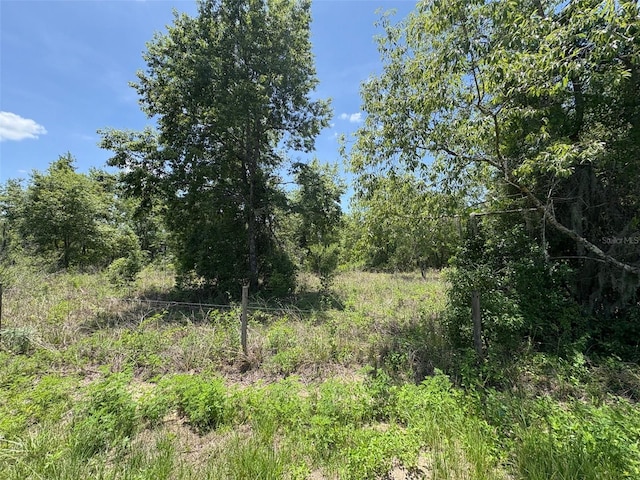 Blanton Rd, Dade City, FL 33523 - photo 8
