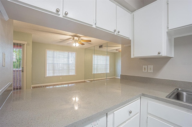 3002 W Cleveland St Unit C3, Tampa, FL 33609 - kitchen featuring ceiling fan, white cabinets, a peninsula, and a sink