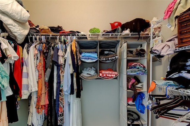 view of spacious closet