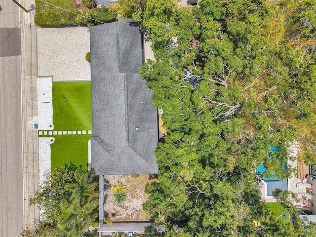 4019 W Bay To Bay Blvd, Tampa, FL 33629 - photo 32