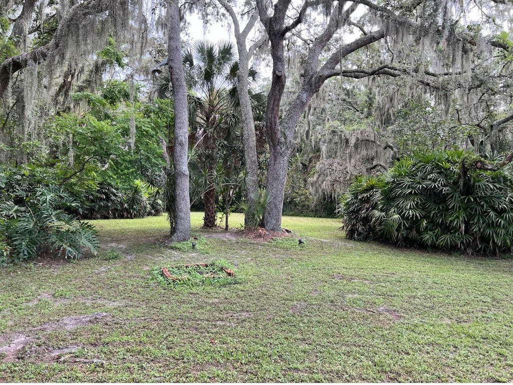 11002 Ridgedale Rd, Temple Terrace, FL 33617 - photo 2