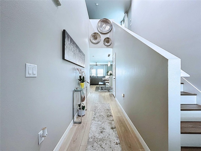 34056 Scarlet Sage Ct, Wesley Chapel, FL 33545 - hall with stairway, hardwood / wood-style floors, and baseboards
