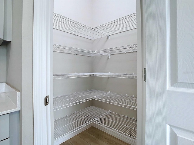 34056 Scarlet Sage Ct, Wesley Chapel, FL 33545 - view of pantry