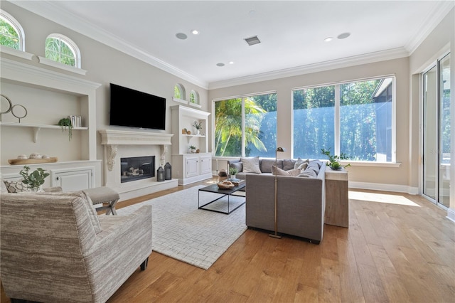 4512 Cheval Blvd, Lutz, FL 33558 - living area with light wood-style floors, a fireplace, ornamental molding, plenty of natural light, and built in shelves