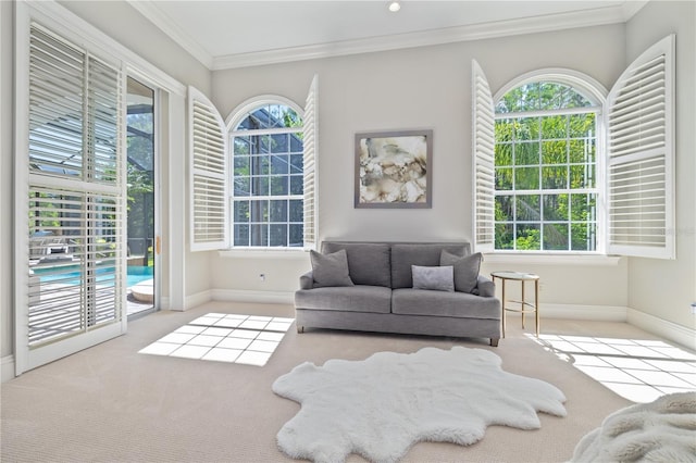 4512 Cheval Blvd, Lutz, FL 33558 - living area with carpet floors, plenty of natural light, baseboards, and ornamental molding