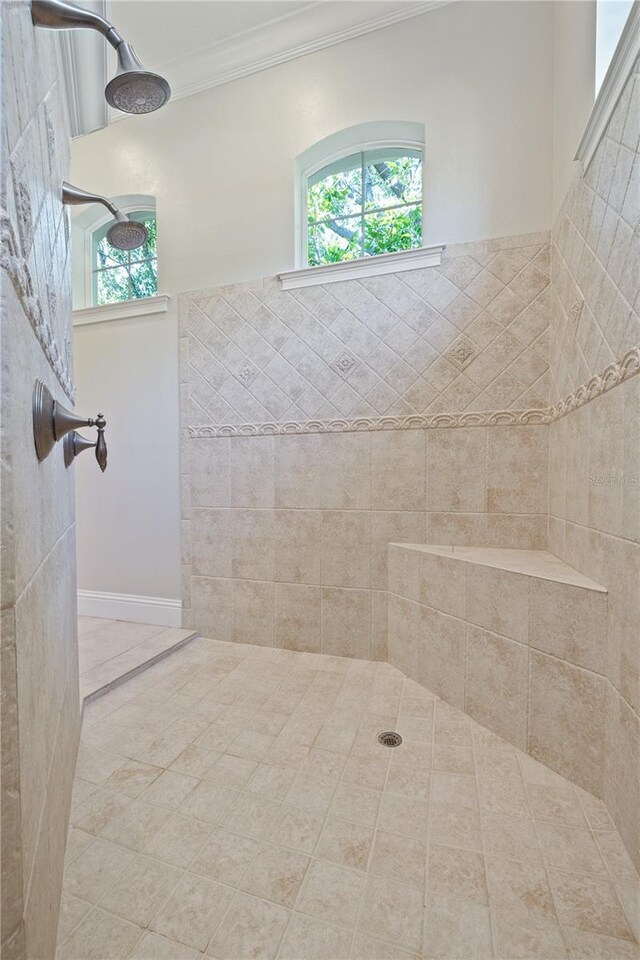 4512 Cheval Blvd, Lutz, FL 33558 - full bathroom with ornamental molding and tiled shower