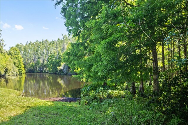 4512 Cheval Blvd, Lutz, FL 33558 - view of yard with a water view and a forest view