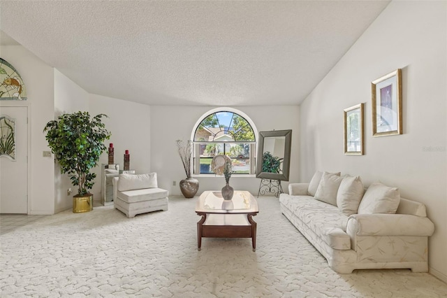 5434 Wellfield Rd, New Port Richey, FL 34655 - living room featuring a textured ceiling and carpet floors