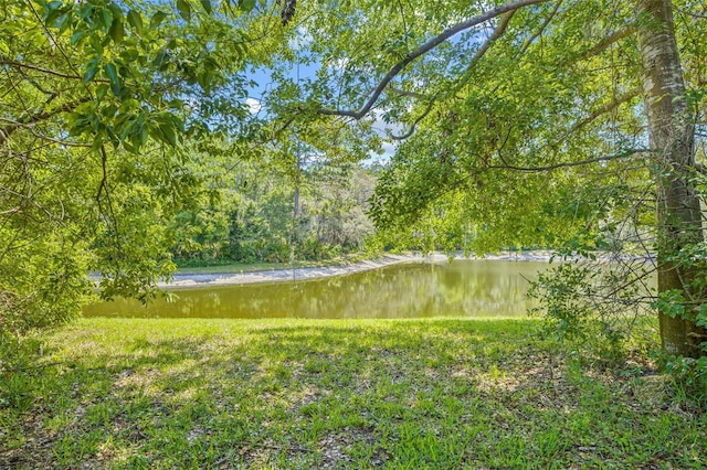 5434 Wellfield Rd, New Port Richey, FL 34655 - view of yard with a water view and a wooded view